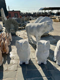 Owl's