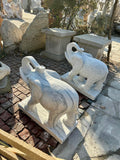 Elephants