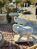 Elephants