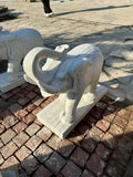 Elephants