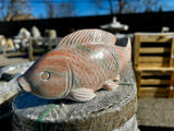 Koi
