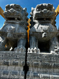 Foo Dog Pair
