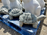 Turtles