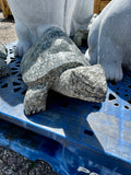 Turtles