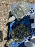 Turtles