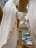 Blessed Mother Mary