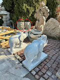 Elephants