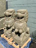 Foo Dog Pair