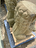 Foo Dog Pair