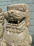 Foo Dog Pair
