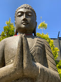 Sitting Buddha