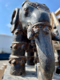 Elephant pair