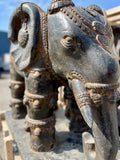 Elephant pair