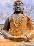 Sitting Buddha