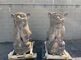 Lions