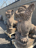 Lions