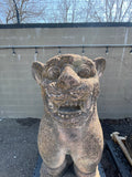 Lions
