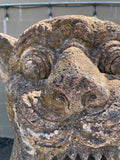 Lions