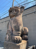 Lions