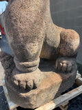 Lions