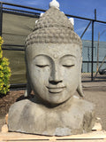 Buddha head