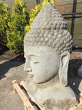Buddha head