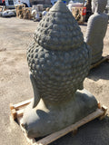 Buddha head