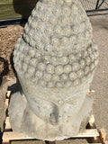 Buddha head