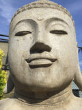 Buddha head