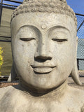 Buddha head