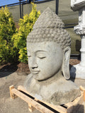 Buddha head