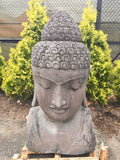 Buddha head