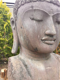 Buddha head