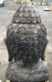 Buddha head