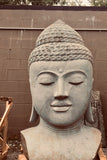 Buddha head