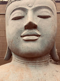 Buddha head