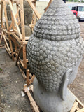 Buddha head