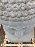 Buddha head