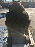 Buddha head