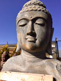 Buddha head