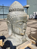 Buddha head
