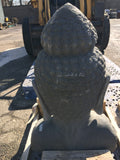 Buddha head