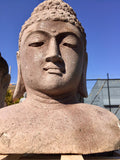 Buddha head