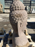 Buddha head