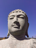 Sitting Buddha
