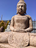 Sitting Buddha