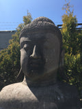 Buddha head