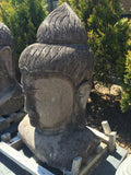 Buddha head