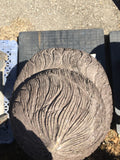 Buddha head
