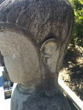 Buddha head